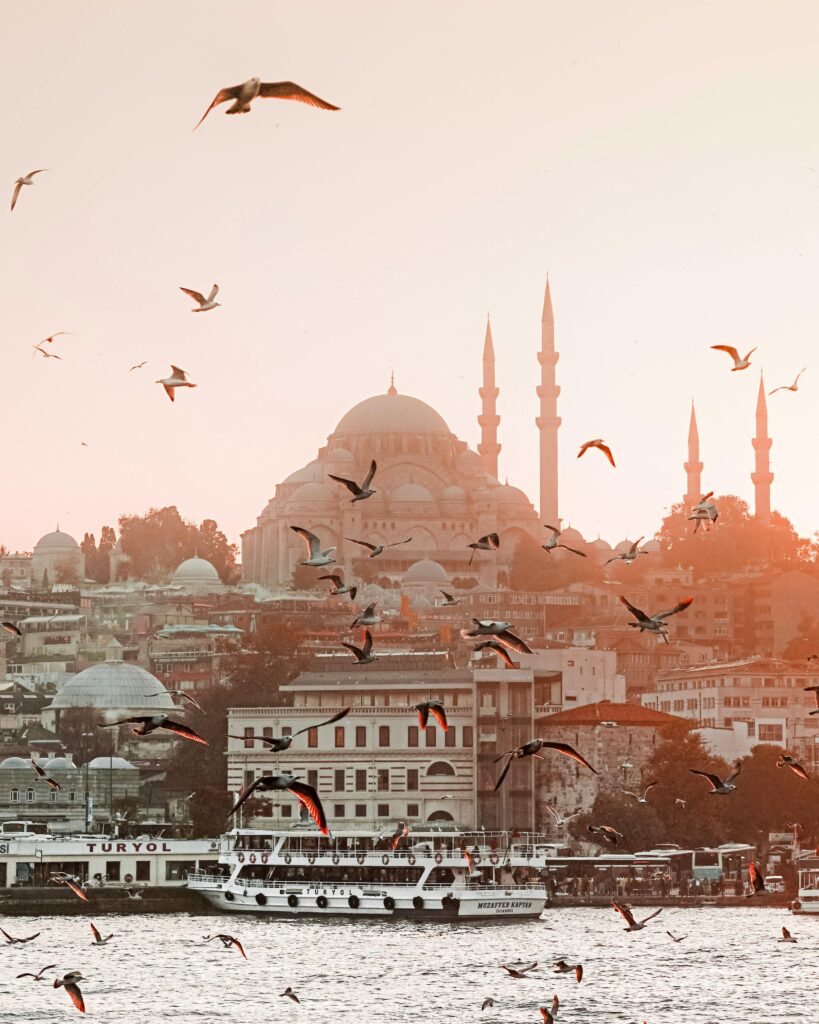 Istanbul skyline at sunset with birds soaring above, highlighting iconic architecture.